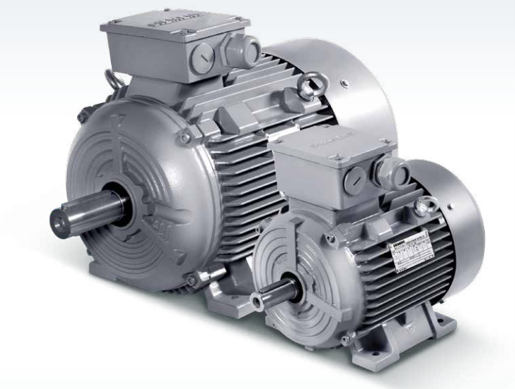 Siemens Motor 1LE0 series