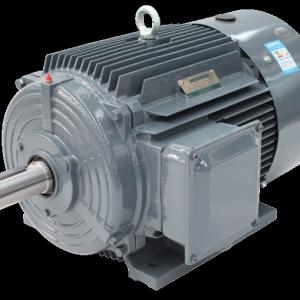 Beide 1TL0001 Beide 1TL0001