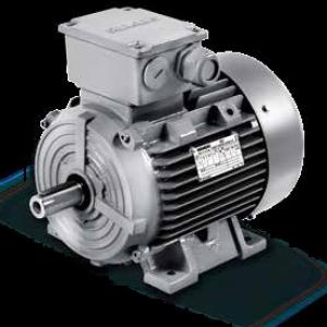 Siemens Motor 1LE0 series