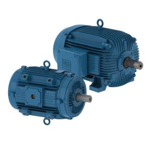 WEG Smoke Extraction W21