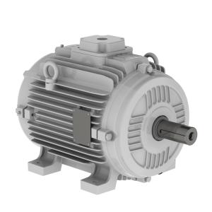 WEG W21 Fan & Exhaust Motor WEG W21 Fan & Exhaust Motor