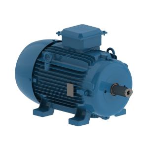 Weg General Purpose Motors W20 Weg General Purpose Motors W20